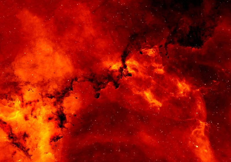 Nebula Nectar Cocktails